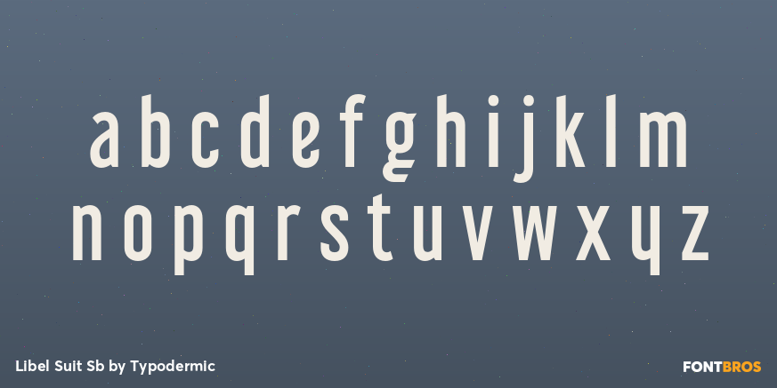 Libel Suit Sb Font Poster #1