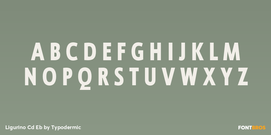 Ligurino Cd Eb Font Poster #2