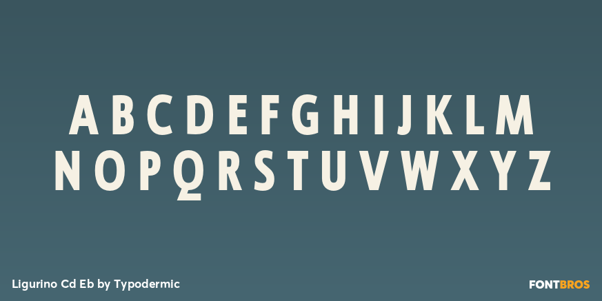 Ligurino Cd Eb Font Poster #1