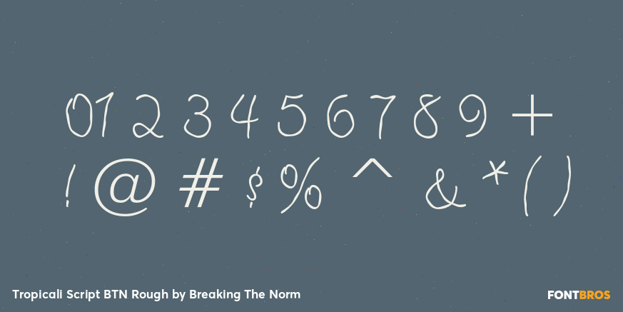 Tropicali Script BTN Rough Font Poster #1