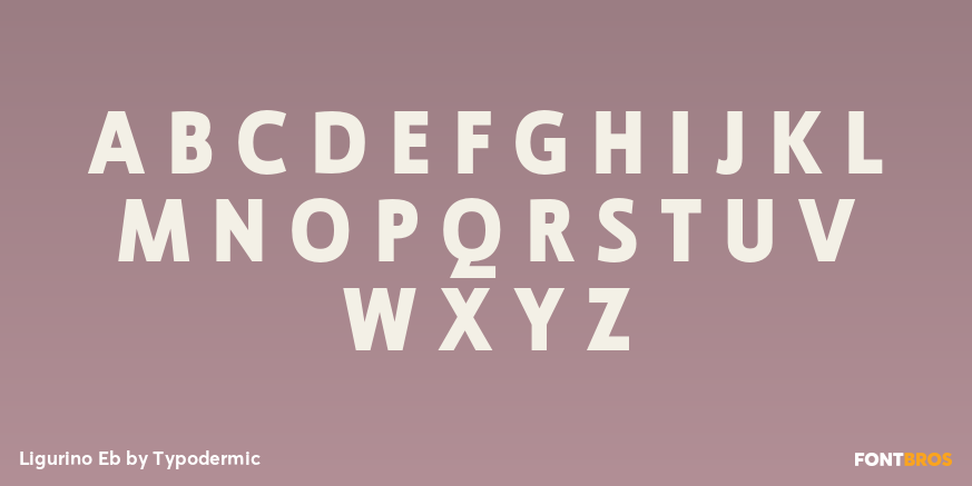 Ligurino Eb Font Poster #2