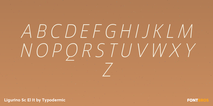 Ligurino Sc El It Font Poster #2