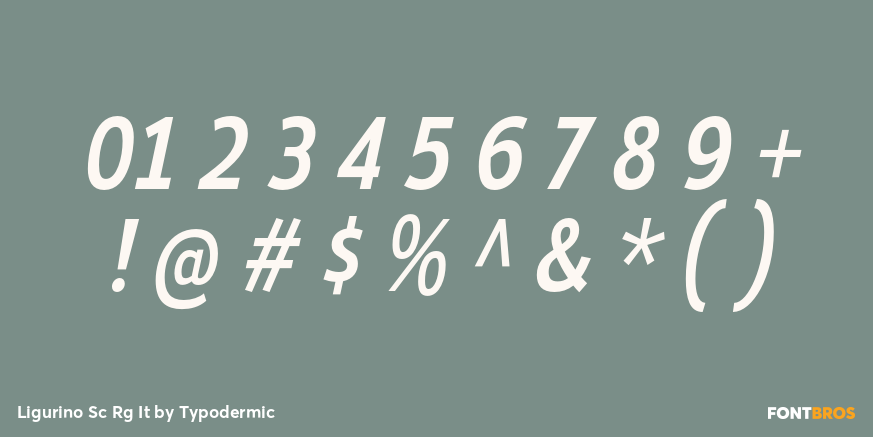 Ligurino Sc Rg It Font Poster #4