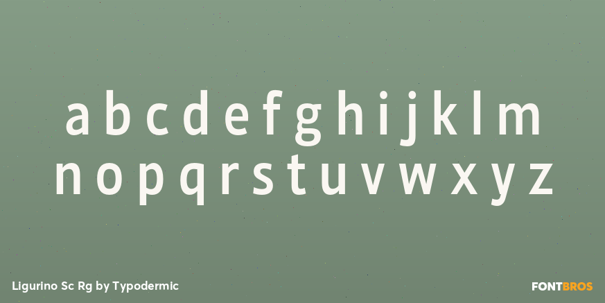 Ligurino Sc Rg Font Poster #3