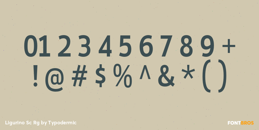 Ligurino Sc Rg Font Poster #4