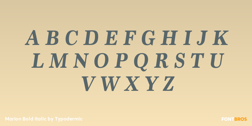 Marion Bold Italic Font Poster #2