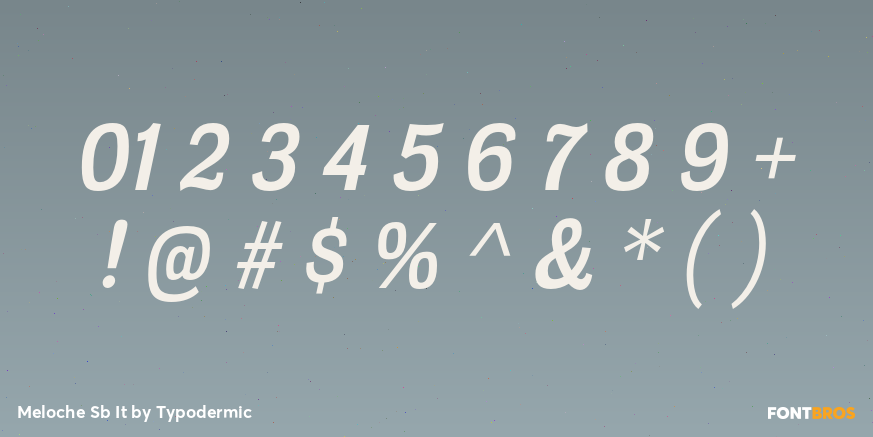 Meloche Sb It Font Poster #4