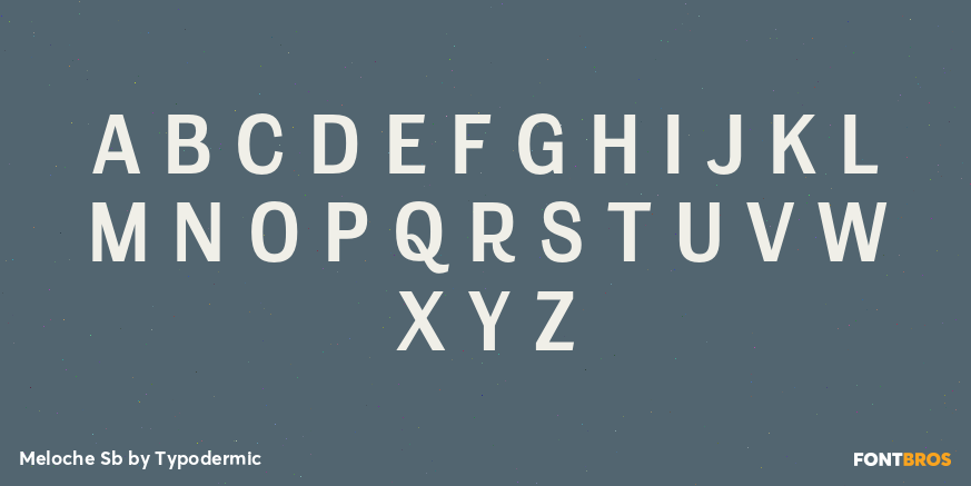 Meloche Sb Font Poster #2