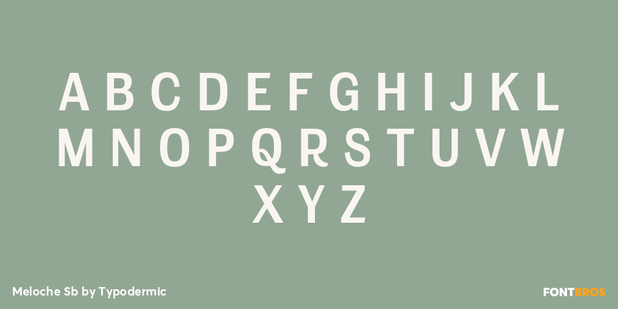 Meloche Sb Font Poster #2