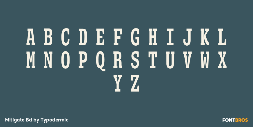Mitigate Bd Font Poster #2