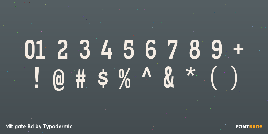 Mitigate Bd Font Poster #4