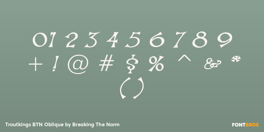 Troutkings BTN Oblique Font Poster #4