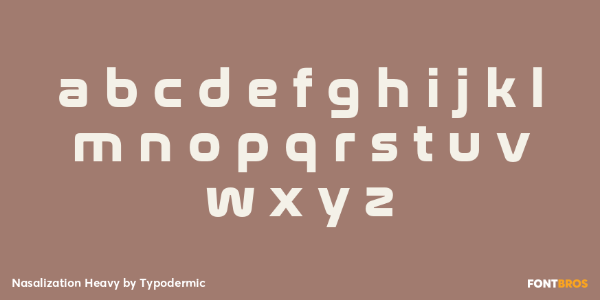 Nasalization Heavy Font Poster #3