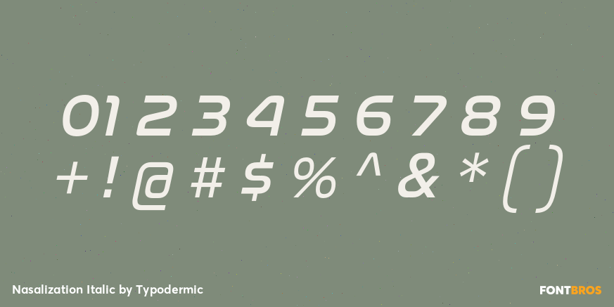 Nasalization Italic Font Poster #4