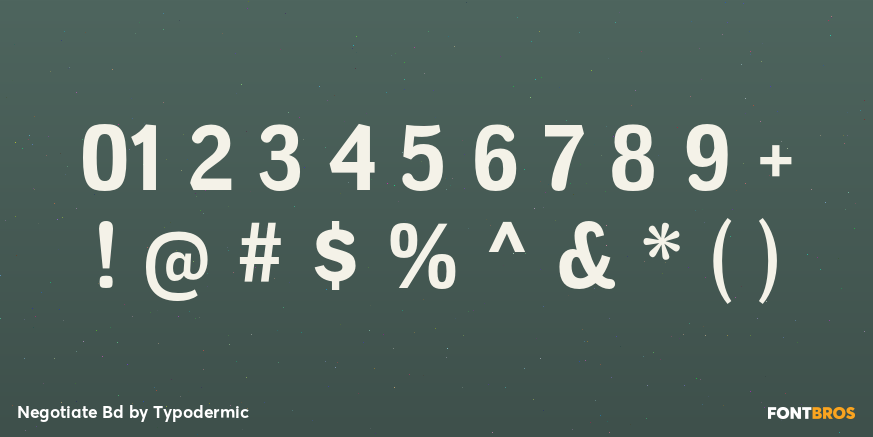 Negotiate Bd Font Poster #1