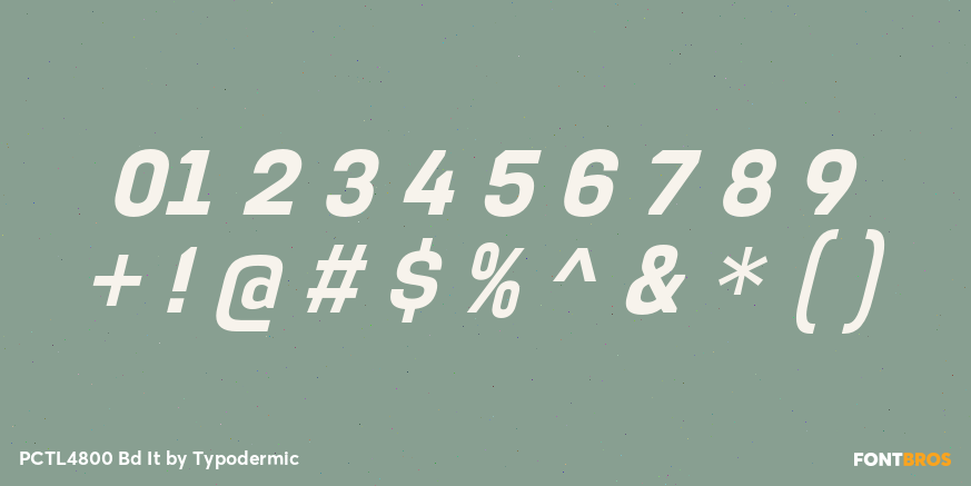 PCTL4800 Bd It Font Poster #4