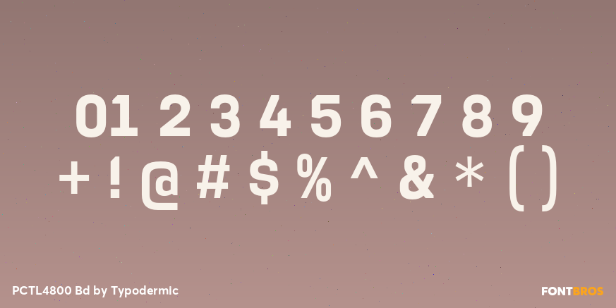 PCTL4800 Bd Font Poster #1