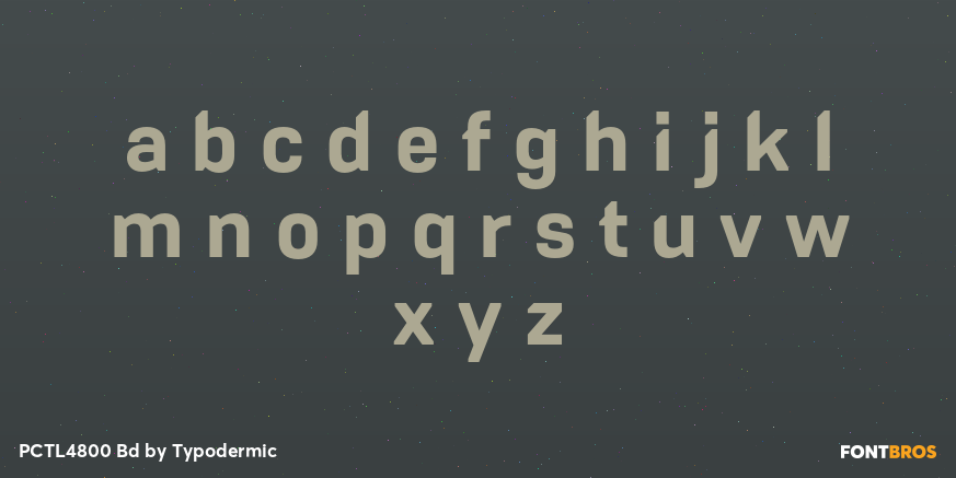 PCTL4800 Bd Font Poster #1