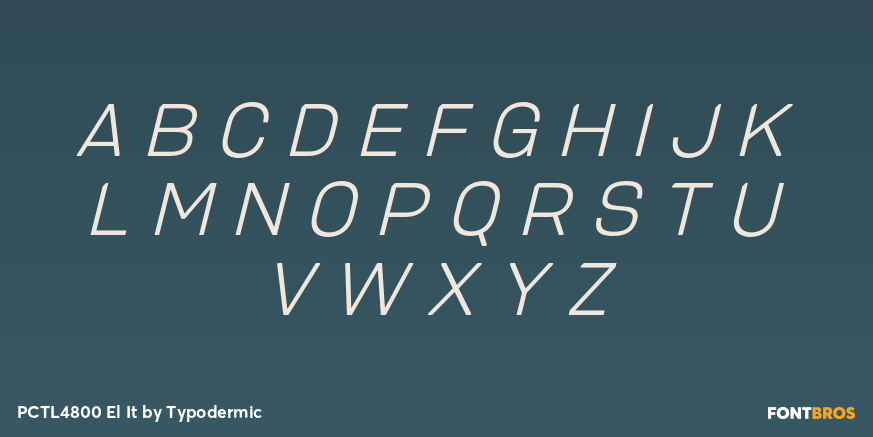 PCTL4800 El It Font Poster #2