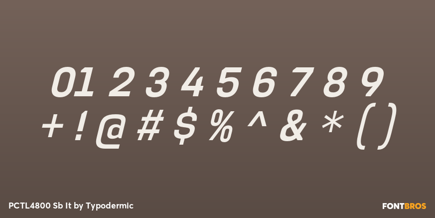 PCTL4800 Sb It Font Poster #1