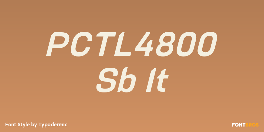 PCTL4800 Sb It Font Poster #1