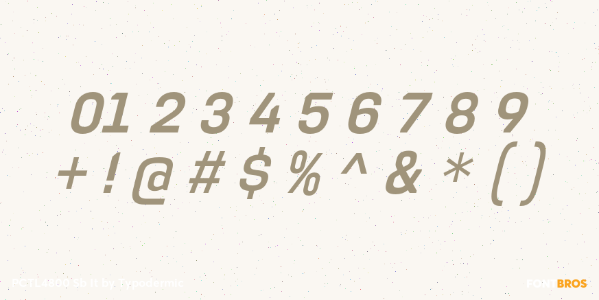 PCTL4800 Sb It Font Poster #4