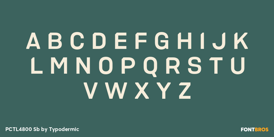 PCTL4800 Sb Font Poster #2