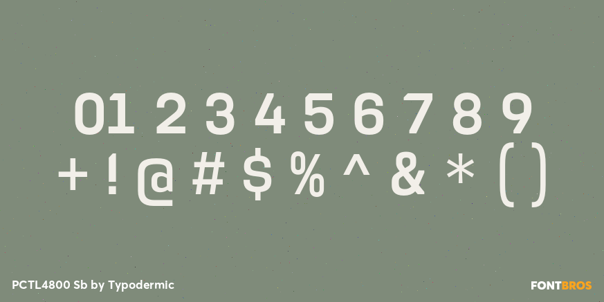 PCTL4800 Sb Font Poster #4