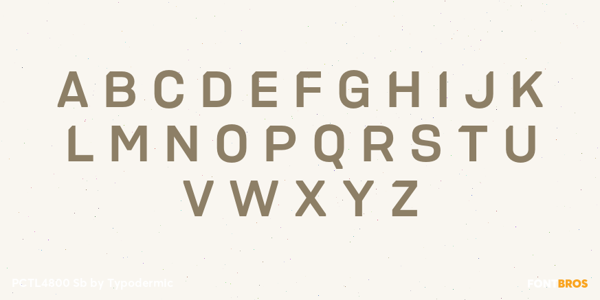 PCTL4800 Sb Font Poster #1