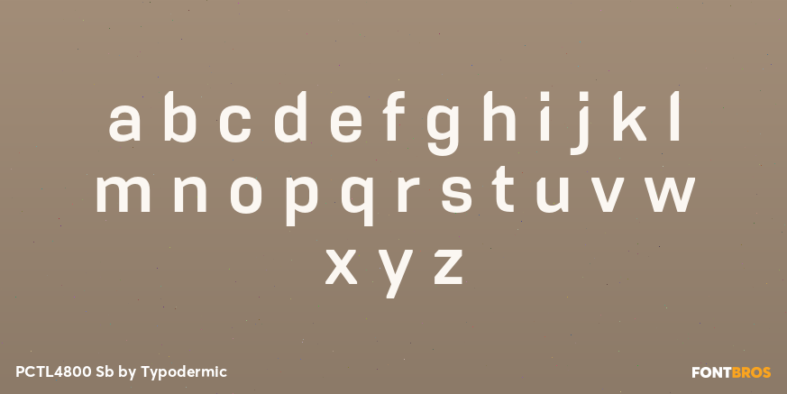 PCTL4800 Sb Font Poster #1