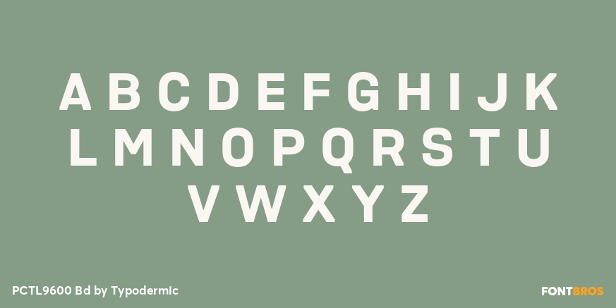 PCTL9600 Bd Font Poster #2