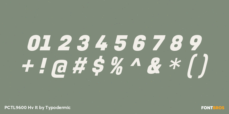 PCTL9600 Hv It Font Poster #4