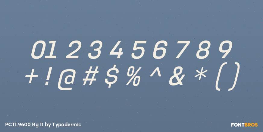 PCTL9600 Rg It Font Poster #4