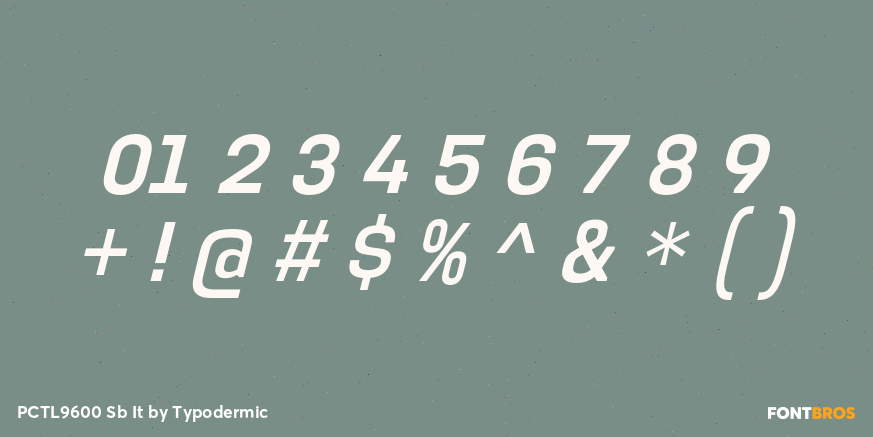 PCTL9600 Sb It Font Poster #1