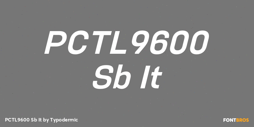 PCTL9600 Sb It Font Poster #1