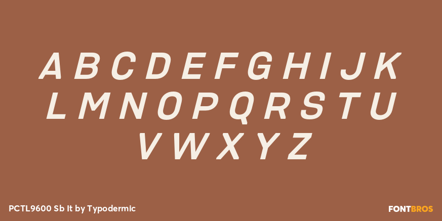 PCTL9600 Sb It Font Poster #2