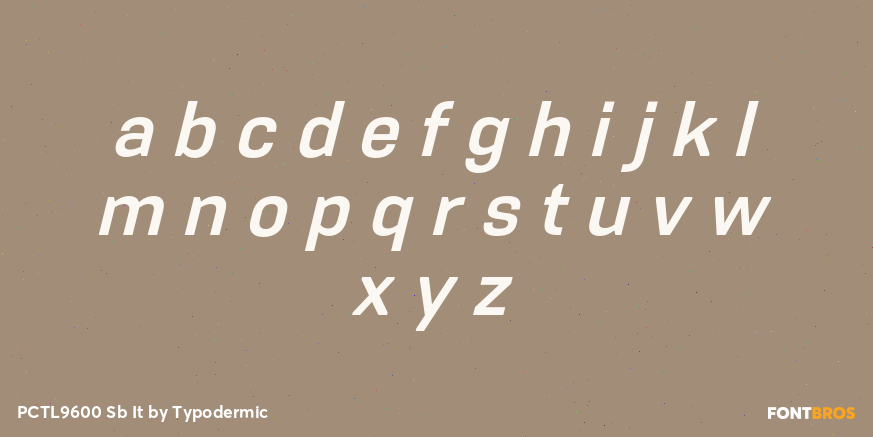 PCTL9600 Sb It Font Poster #3
