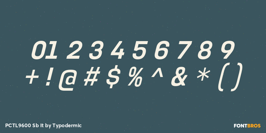 PCTL9600 Sb It Font Poster #4