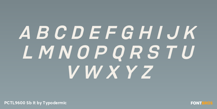 PCTL9600 Sb It Font Poster #1