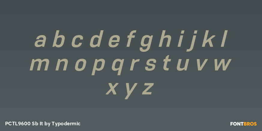 PCTL9600 Sb It Font Poster #1