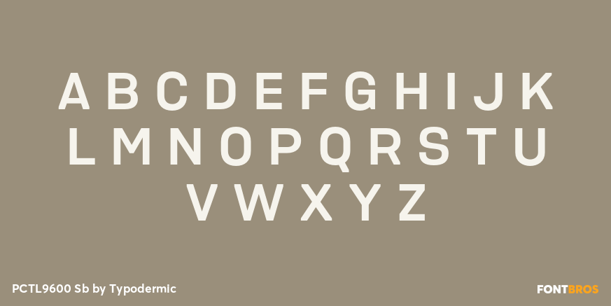 PCTL9600 Sb Font Poster #2