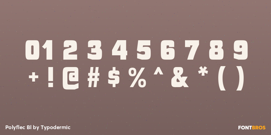 Polyflec Bl Font Poster #4
