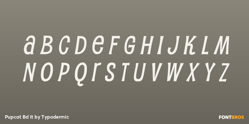 Pupcat Bd It Font Poster #2