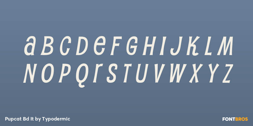 Pupcat Bd It Font Poster #3