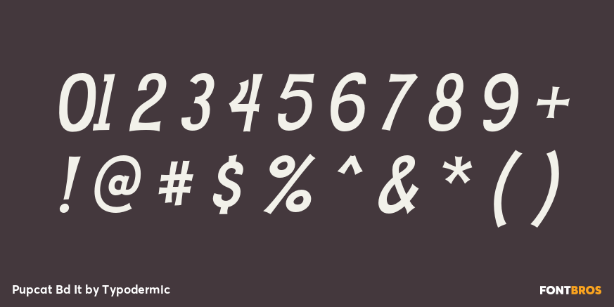 Pupcat Bd It Font Poster #4