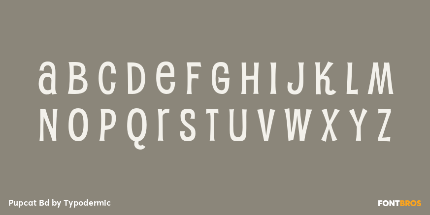 Pupcat Bd Font Poster #2