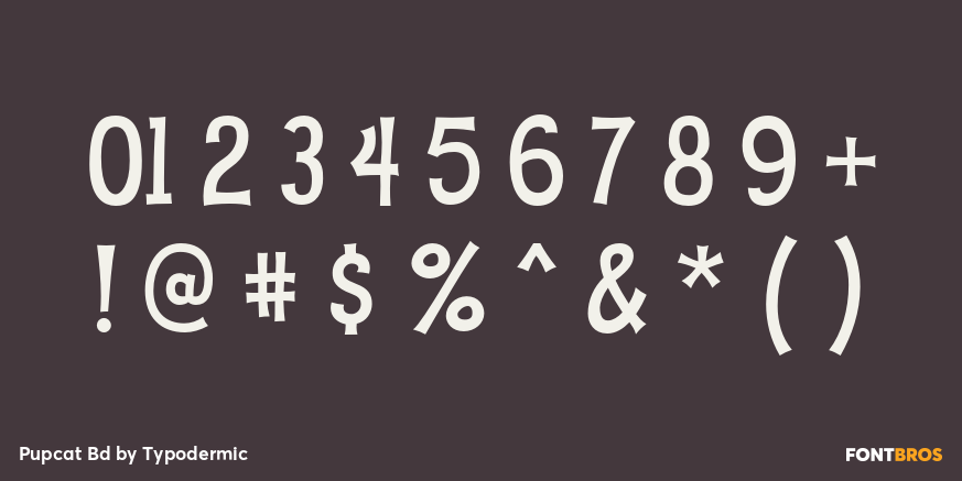 Pupcat Bd Font Poster #4