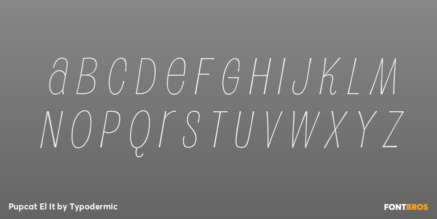 Pupcat El It Font Poster #2