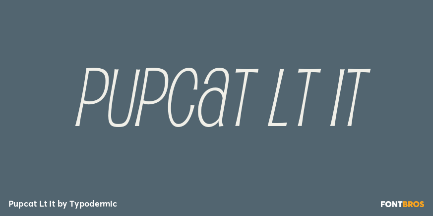 Pupcat Lt It Font Poster #1