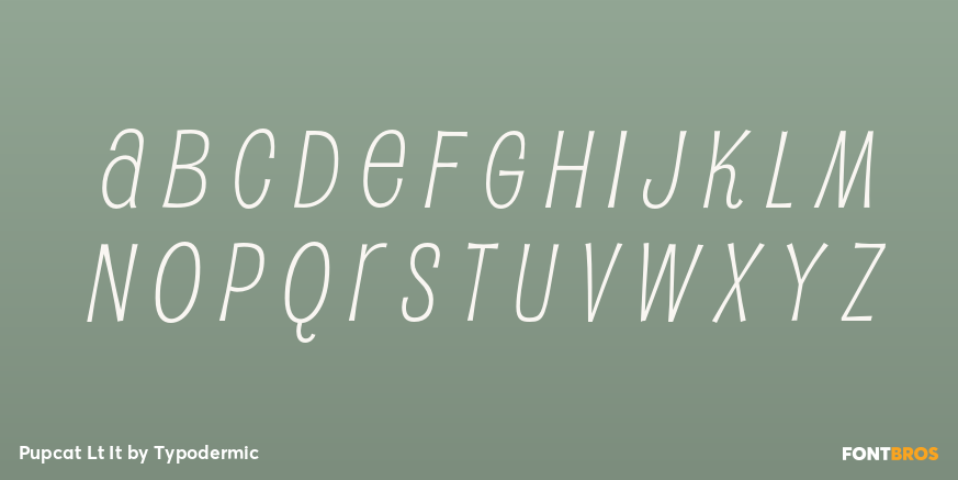 Pupcat Lt It Font Poster #2